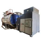 生物质天然气两用锅炉